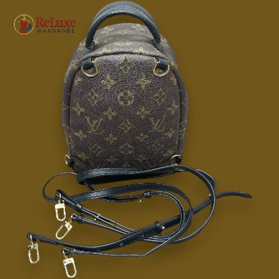 Louis Vuitton Brown Monogram Reverse Canvas Palm Springs Mini Backpack